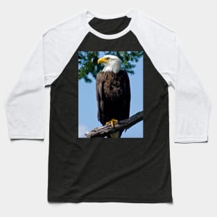 Majestic Bald Eagle Baseball T-Shirt